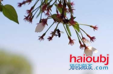 2019年春節(jié)冷不冷-2019年春節(jié)天氣預測.jpg