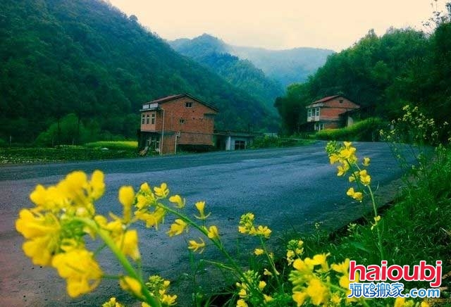 多虧鄉(xiāng)下婆婆來照顧兒媳，才知道家具甲醛超標(biāo)兒子決定搬家啦.jpg