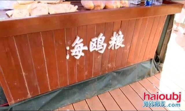 昆明海鷗搬家稱一老板返鄉(xiāng)探病，留下鷗糧供游客投喂結(jié)果出乎意料.jpg