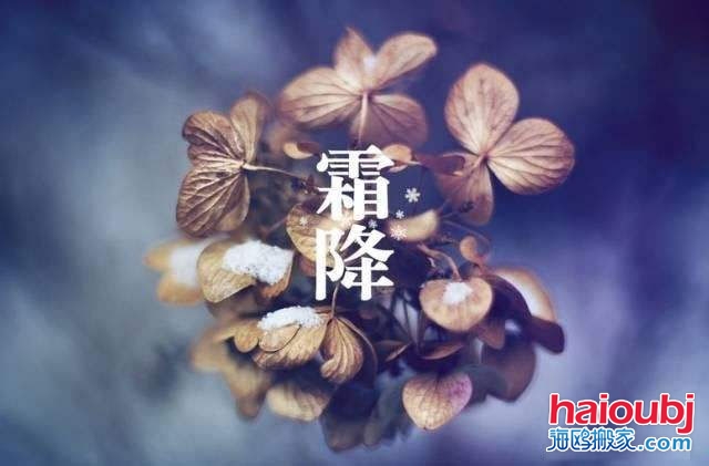 2019年霜降的第二天可以搬家嗎，如果搬家需要注意些什么？.jpg
